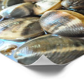 Clams – アップ・クローズとパーソナル – 高品位 ポスター (角)