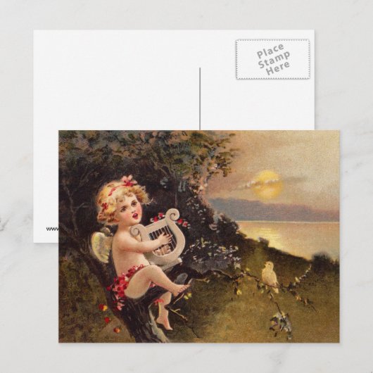 Clapsaddle: Little Cherub with Harp ポストカード (正面/裏面)