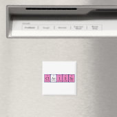 Clarisse期別表名磁石 マグネット (インサイチュ (食洗機))