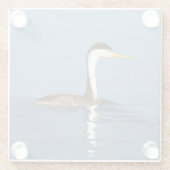 Clark's Grebe'絵画s - Bird Artオリジナル ガラスコースター (裏面)