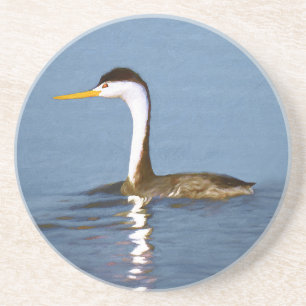 Clark's Grebe'絵画s - Bird Artオリジナル コースター