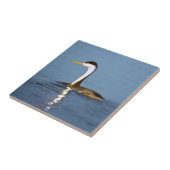 Clark's Grebe'絵画s - Bird Artオリジナル タイル (側面)