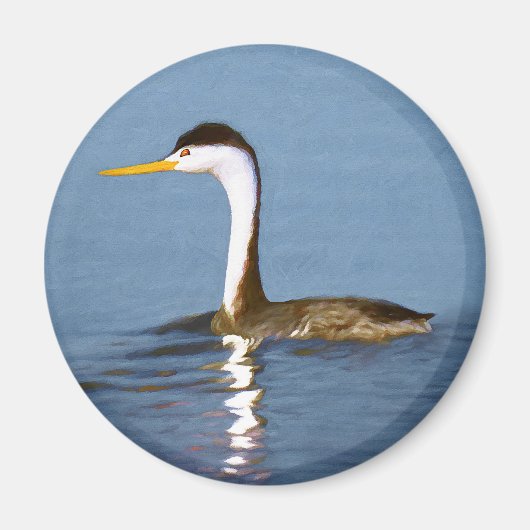 Clark's Grebe'絵画s - Bird Artオリジナル マグネット (正面)