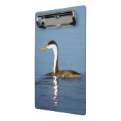 Clark's Grebe'絵画s - Bird Artオリジナル ミニクリップボード (アングル2)