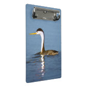 Clark's Grebe'絵画s - Bird Artオリジナル ミニクリップボード (アングル)