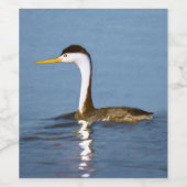 Clark's Grebe'絵画s - Bird Artオリジナル ワインラベル (シングルラベル)