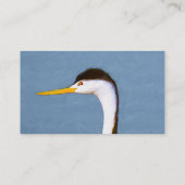 Clark's Grebe'絵画s - Bird Artオリジナル 名刺 (裏面)