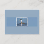 Clark's Grebe'絵画s - Bird Artオリジナル 名刺 (裏面)