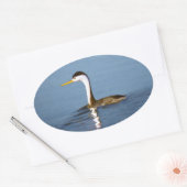Clark's Grebe'絵画s - Bird Artオリジナル 楕円形シール (封筒)