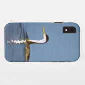 Clark's Grebe'絵画s - Bird Artオリジナル Case-Mate iPhoneケース (裏面(横))