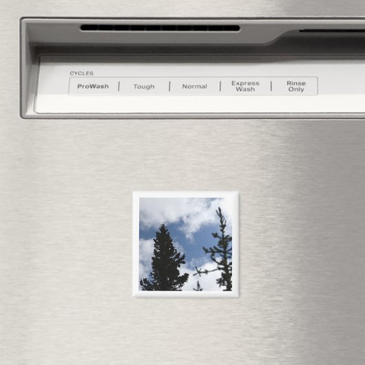 Clark's Nutcracker 2 x 2 magnet マグネット (インサイチュ (食洗機))