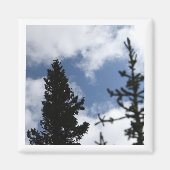 Clark's Nutcracker 2 x 2 magnet マグネット (正面)