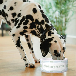 Classic Blue Green Plaid Pattern Name Dog Water ボウル