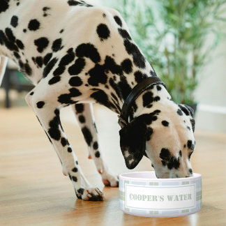 Classic Blue Green Plaid Pattern Name Dog Water ボウル