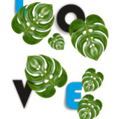 Classic Mug, 11 oz コーヒーマグカップ