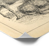 Classic Zoological Etching - Deer ポスター (角)