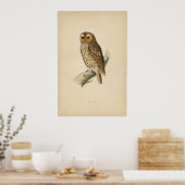 Classic Zoological Etching - Tawny Owl ポスター (キッチン)