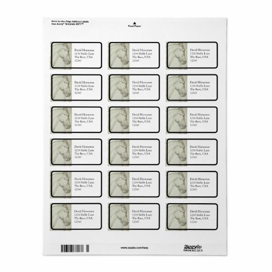 Classical Horse Head – Renaissance Pencil Drawing ラベル (フルシート)