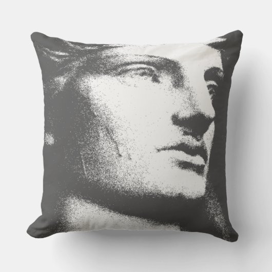 Classiqueの木炭 クッション (正面)