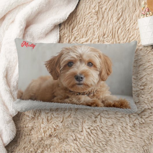 Classy Doodle Personalized ランバークッション (ブランケット)