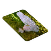 Claude Monet：読者 マグネット (右側)