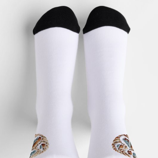 Claw socks ソックス (上部)