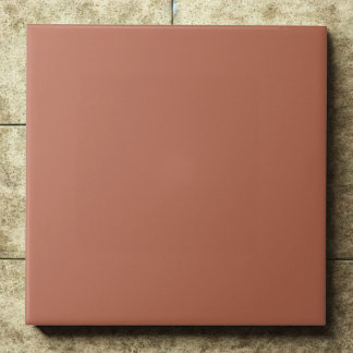 Clay #b66a50 – Warm, Mellow, Natural Orange タイル