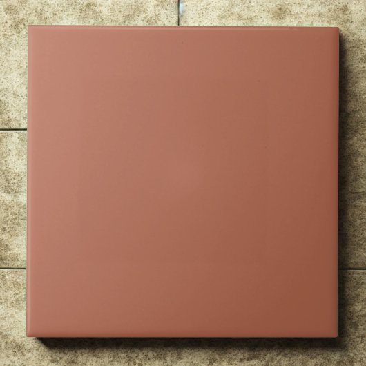 Clay #b66a50 – Warm, Mellow, Natural Orange タイル