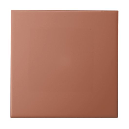 Clay #b66a50 – Warm, Mellow, Natural Orange タイル (正面)