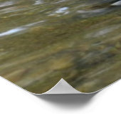 Clear Creek Mallard Duck Poster ポスター (角)