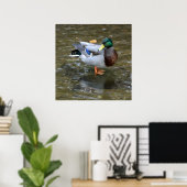 Clear Creek Mallard Duck Poster ポスター (ホームオフィス)