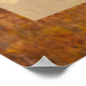 Clear Visions Poster ポスター (角)