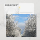 Clearing Skies & Tailwinds, NYC -  ポストカード (正面/裏面)