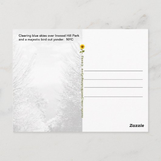 Clearing Skies & Tailwinds, NYC - ポストカード (裏面)
