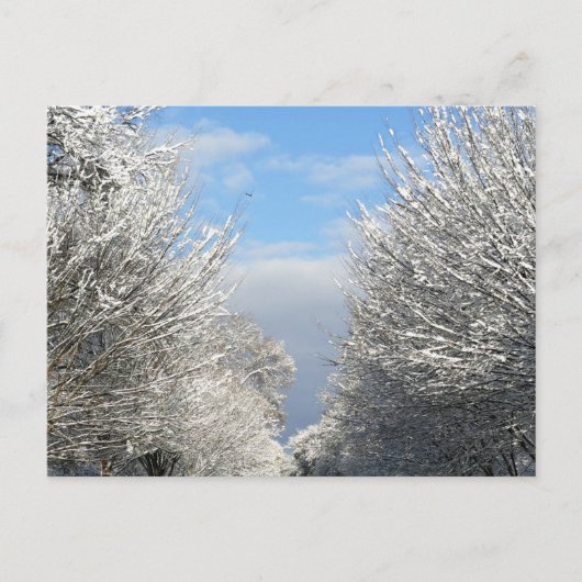 Clearing Skies & Tailwinds, NYC -  ポストカード (正面)