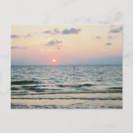 Clearwaterビーチサンセットポストカード ポストカード