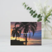 Clearwater，フロリダの風景の写真 ポストカード (スタンド正面)