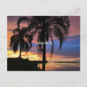 Clearwater,フロリダの風景の写真 ポストカード (正面)