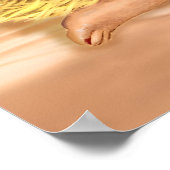 Clearwater Beach Florida Travel Poster Sea Eagle ポスター (角)