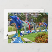 Clearwater Floridaポストカードからのイルカの挨拶 ポストカード (正面/裏面)