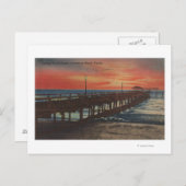 Clearwater, Florida – サンセットパイ魚釣り ポストカード (正面/裏面)