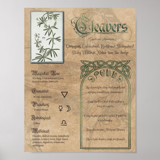 Cleavers Herbal Book of Shadowsウィッカ信者 ポスター (正面)