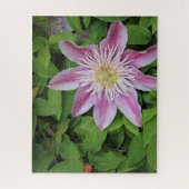 Clematis ジグソーパズル (縦)