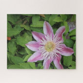Clematis ジグソーパズル (横)