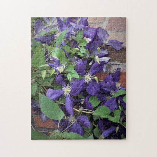 Clematis ジグソーパズル (縦)