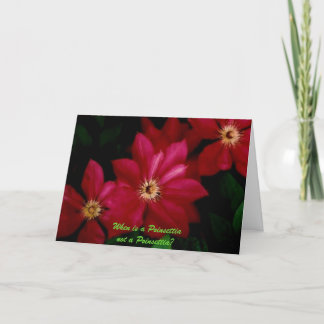 Clematis_1, PoinsettiaがPoinsettiaでないのはいつ？ シーズンカード