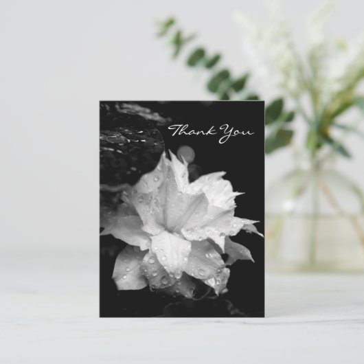 Clematis 2aフローラBW写真悔やみや弔慰ありがとう ポストカード (スタンド正面)