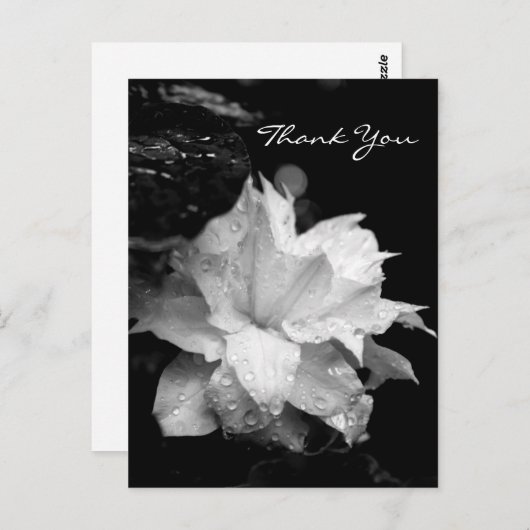 Clematis 2aフローラBW写真悔やみや弔慰ありがとう ポストカード (正面/裏面)