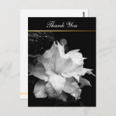 Clematis 2cフローラBWフォト悔やみや弔慰ありがとう ポストカード (正面/裏面)