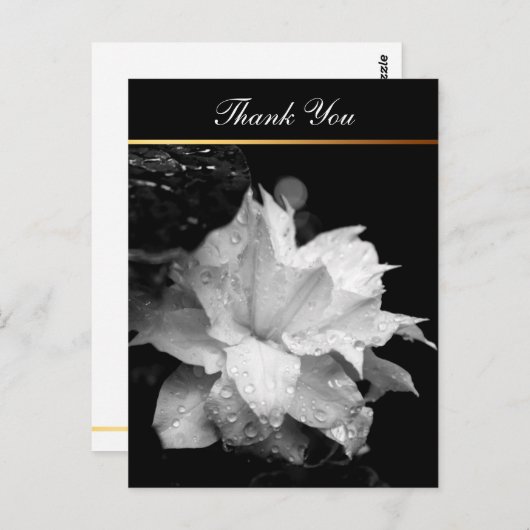 Clematis 2cフローラBWフォト悔やみや弔慰ありがとう ポストカード (正面/裏面)